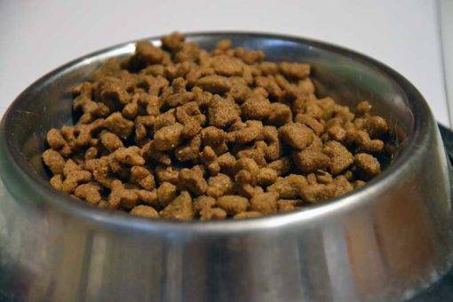 Kedi Dostu ev Eşyaları Nelerdir? Kedi Eşyaları Akçalı Sprey Boya