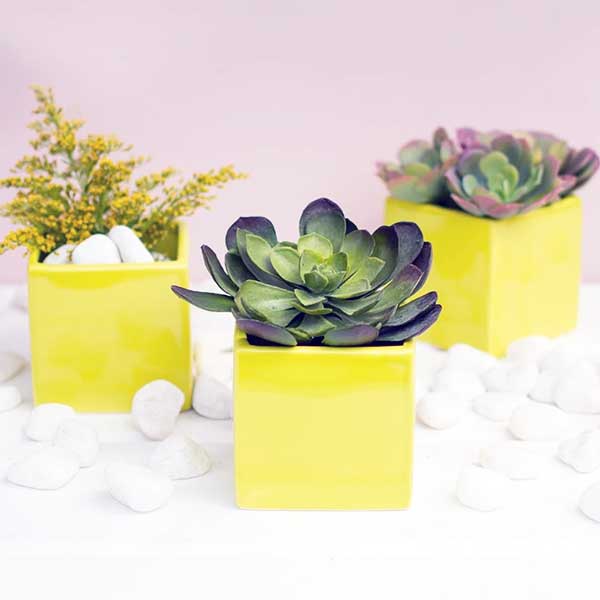 Neon Renkte Aksesuarlar