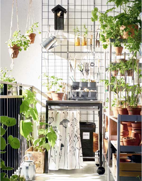 balkon bahçeciliği