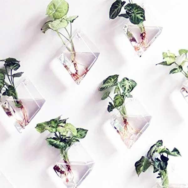 Bitkilerle Ev Dekorasyonu Nasıl Yapılır