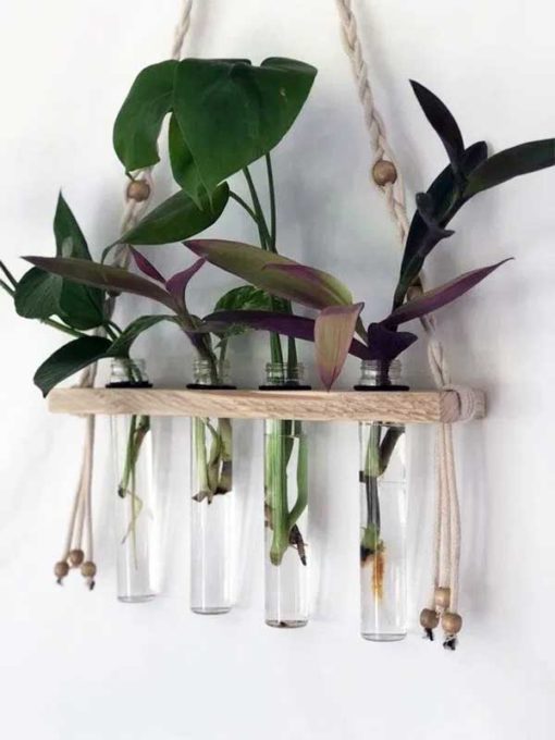 Bitkilerle Ev Dekorasyonu Nasıl Yapılır Akçalı Sprey Boya