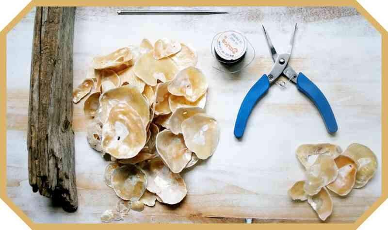 deniz kabuğu duvar süsü yapımı