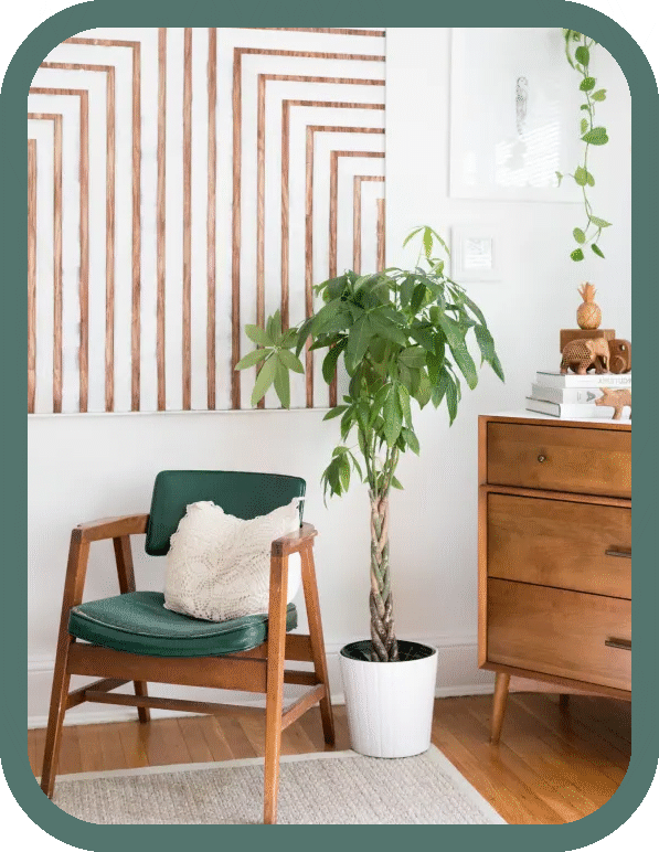 para agaci nasil yetistirilir akcali sprey boya